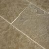 Tandur Yellow - Afbeelding 5